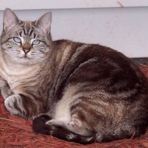 Meet your Posher, Wilma